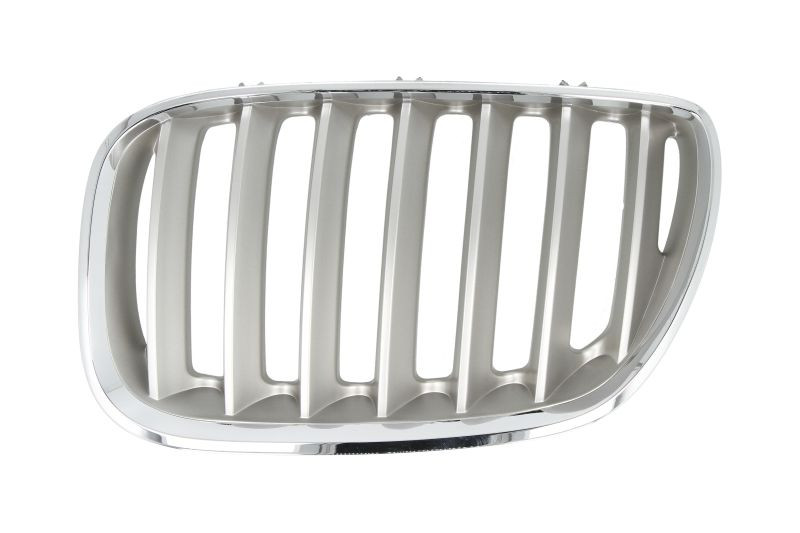 Grila radiator Stanga potrivit BMW X5 (E53) 3.0-4.8 2000-2006 pana in 2006 - (titan)